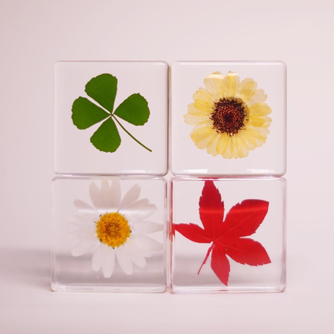 Mini Bloomscape