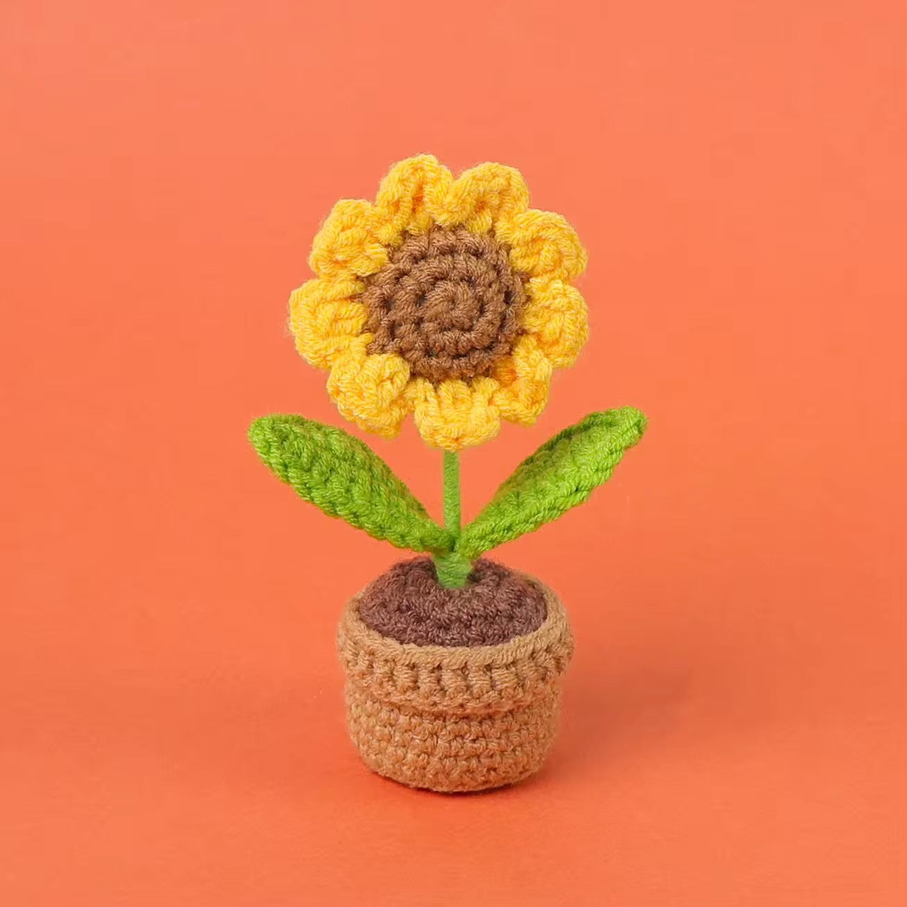 A little pot of Sunshine 🌻