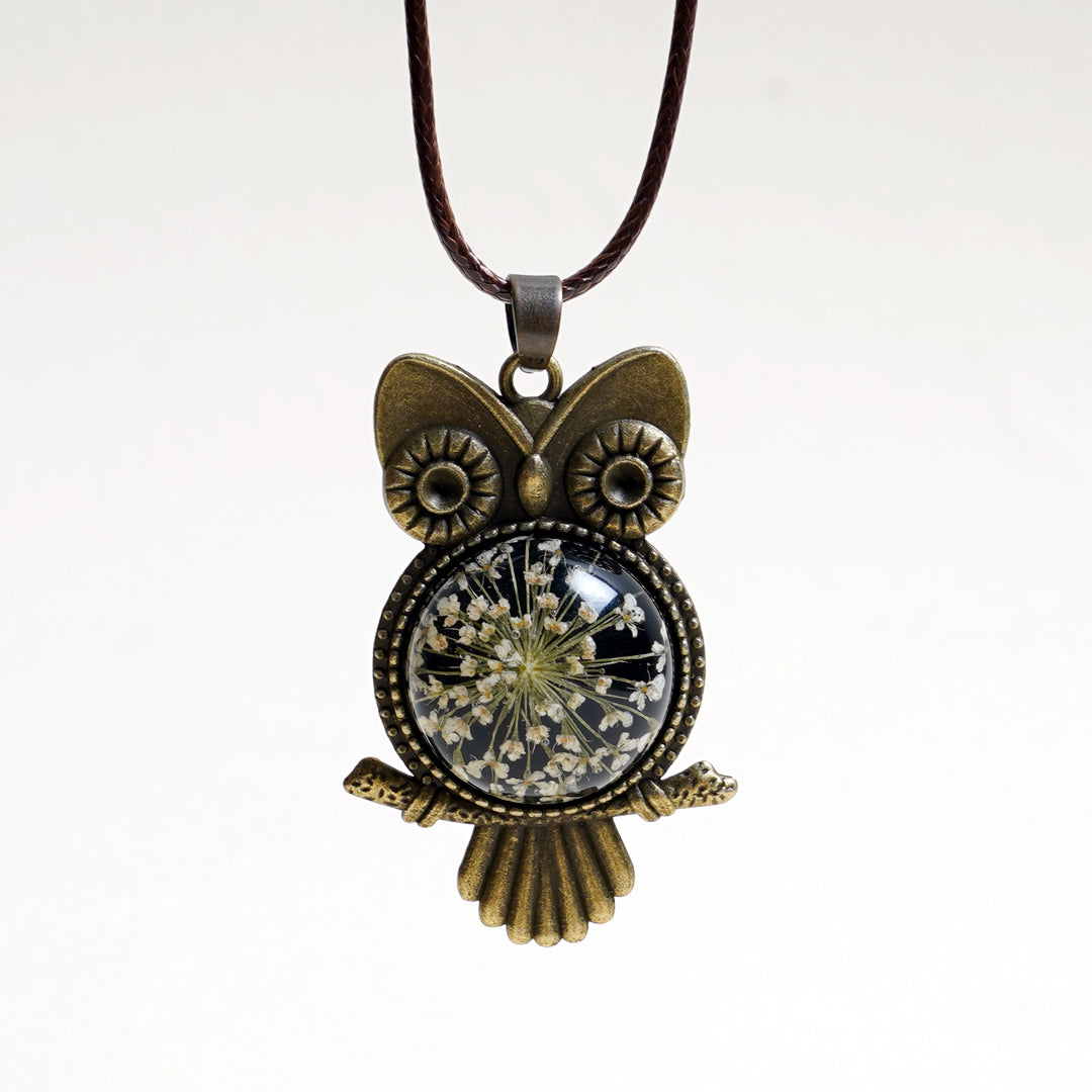 The Enchanted Owl 🦉