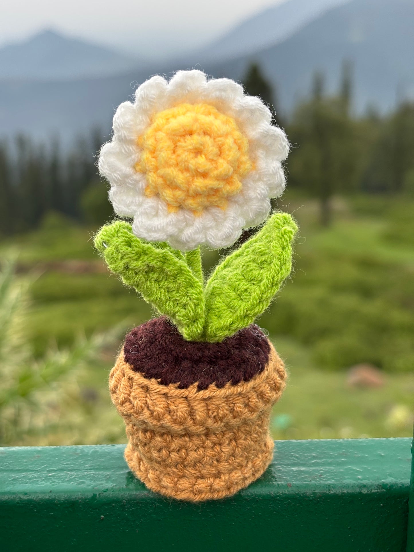 Crochet Daisy Pot