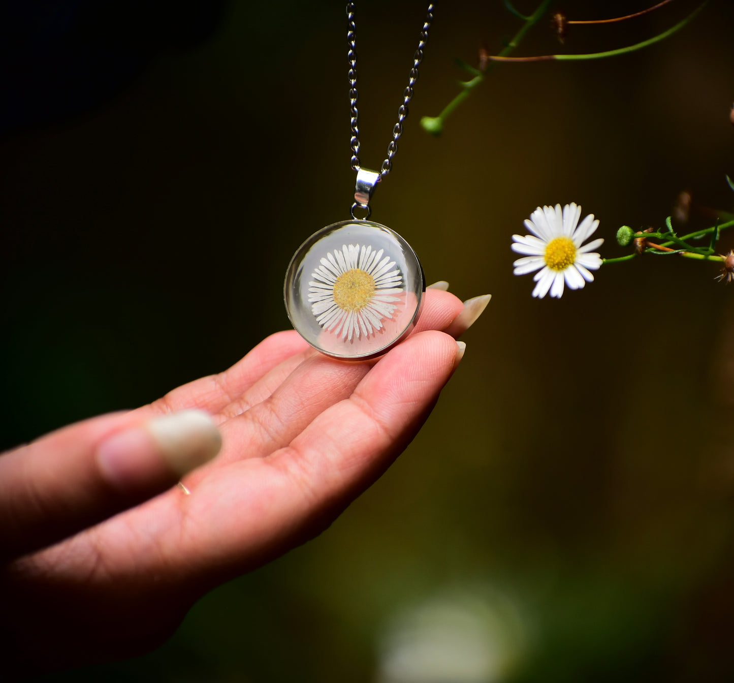 My Star - The Aster Flower Necklace