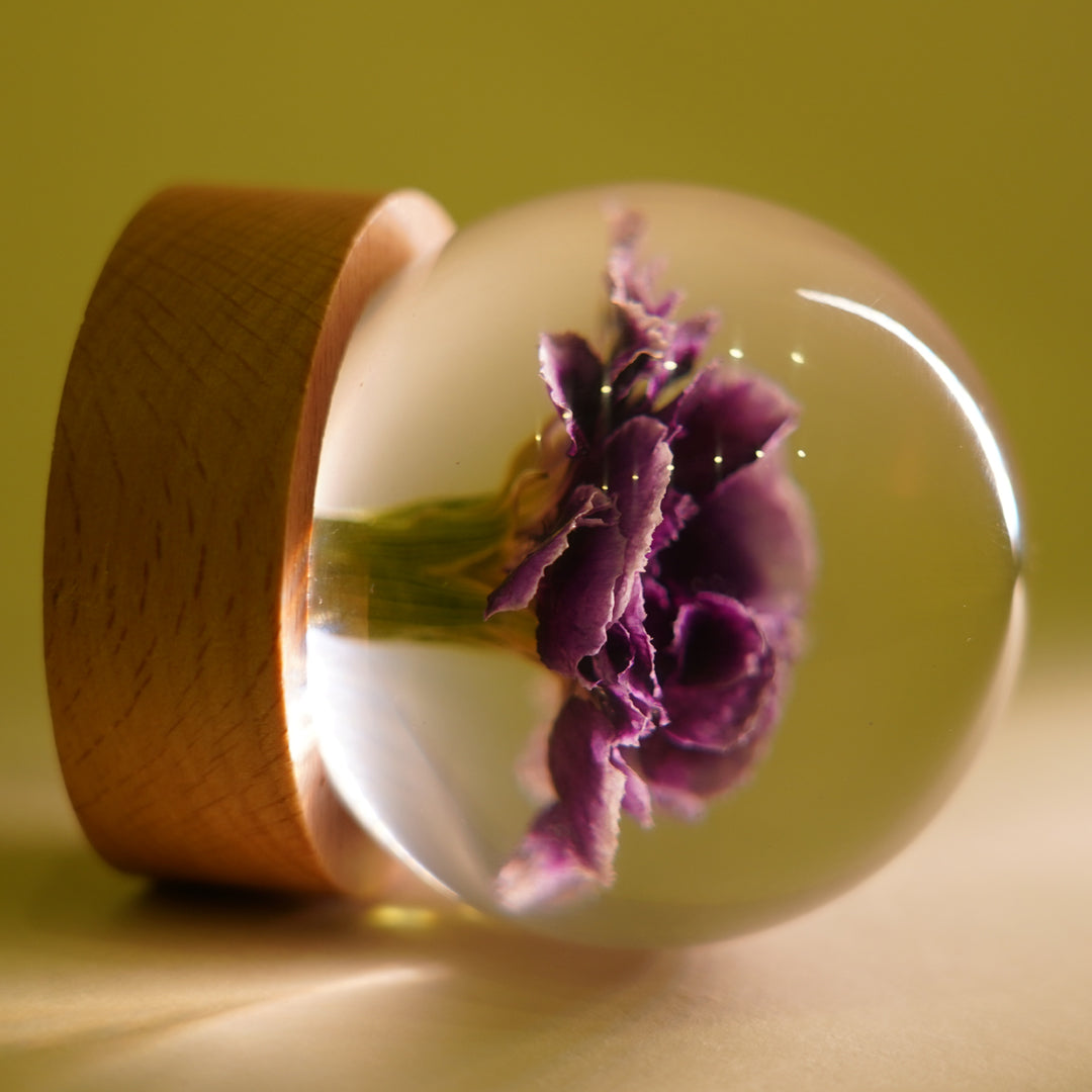 Carnation Orb