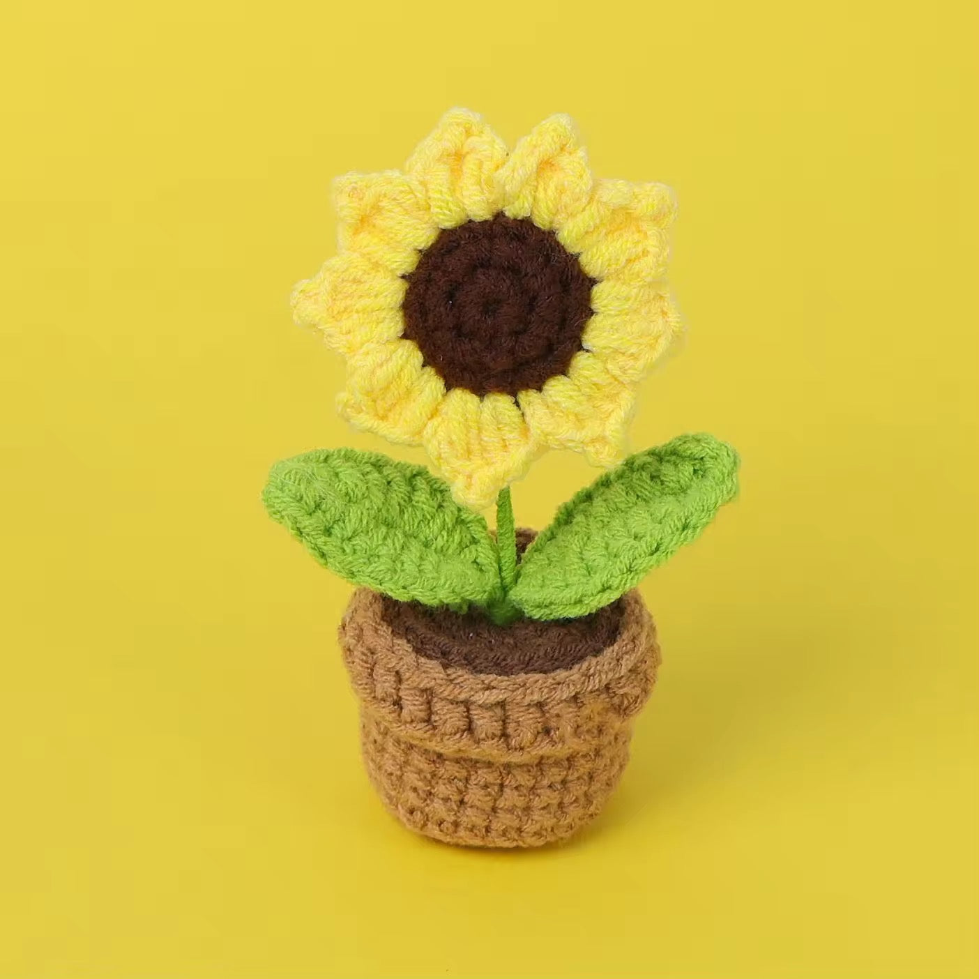A little pot of Sunshine 🌻