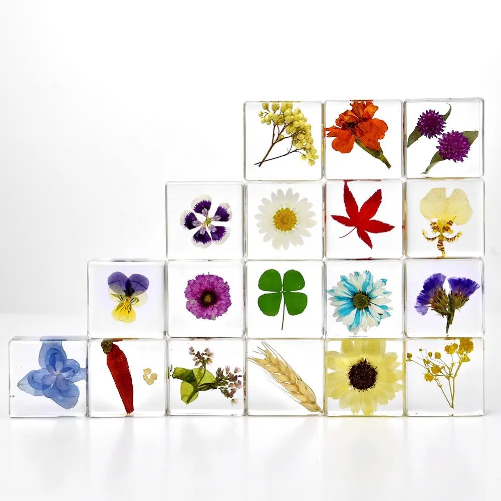 Mini Bloomscape