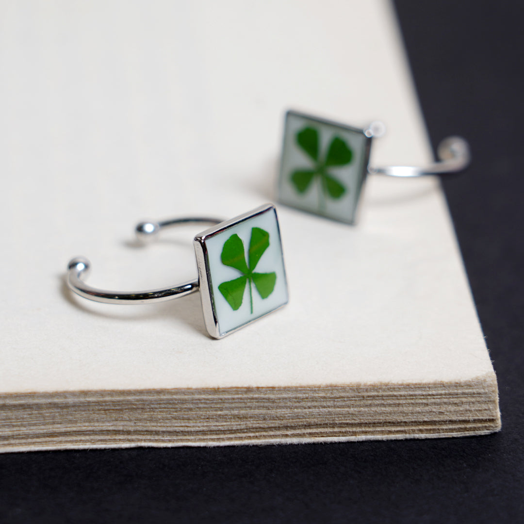 Fortune's Embrace ๐