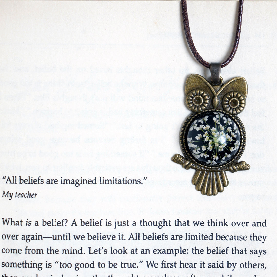 The Enchanted Owl 🦉