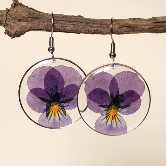 Spell of purple ; Pansy Love