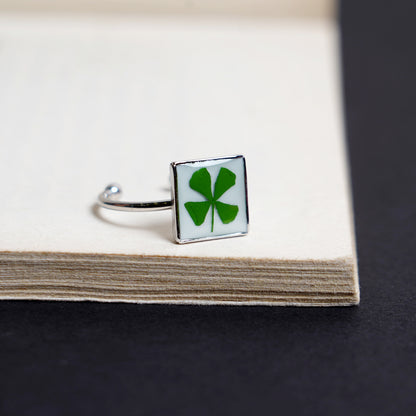 Fortune's Embrace 🍀