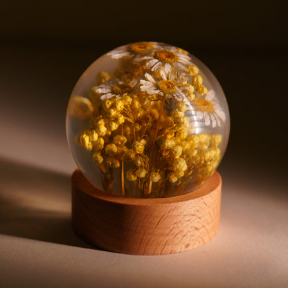 Bellis Bloom Orb 🌼