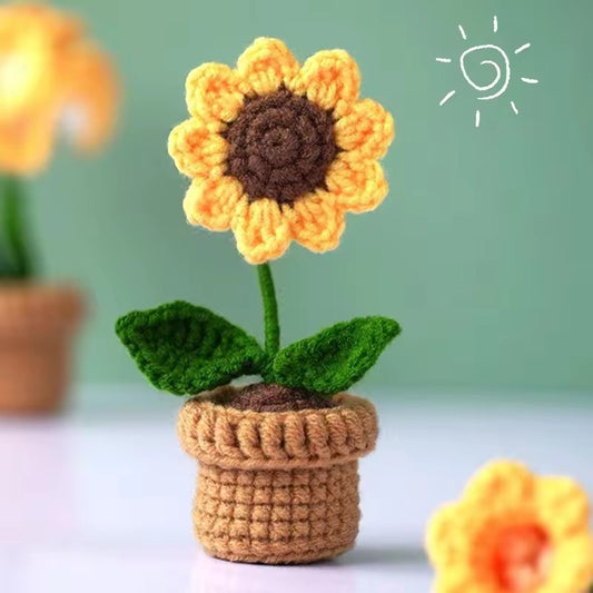 A little pot of Sunshine 🌻