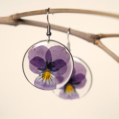 Spell of purple ; Pansy Love