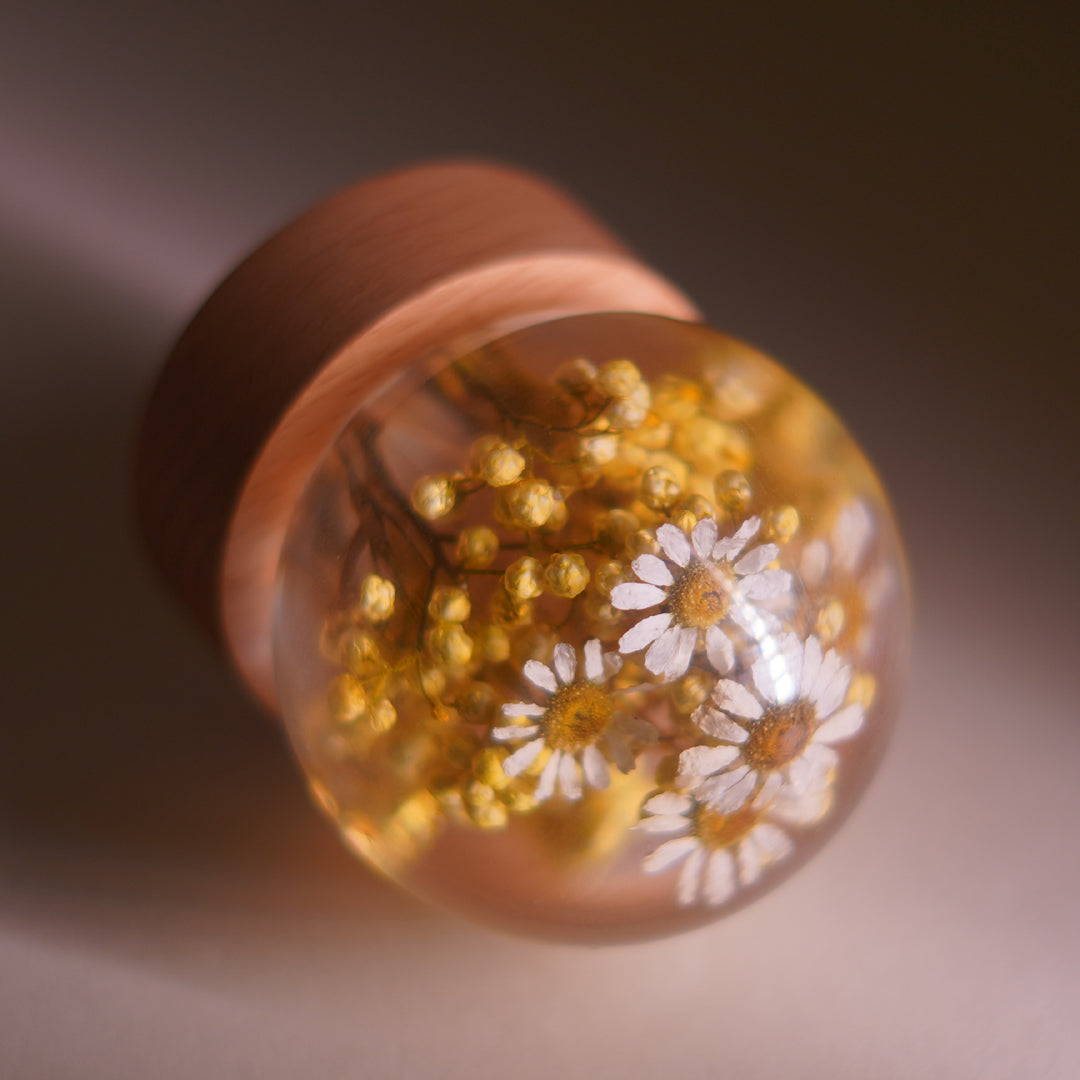 Bellis Bloom Orb 🌼