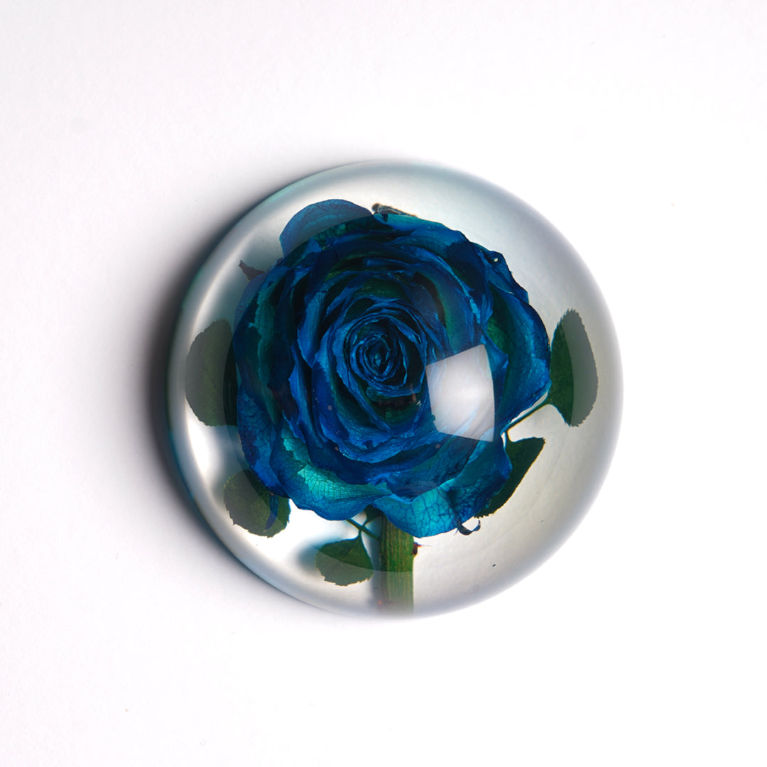 Forever BLUE ROSE Spheroid