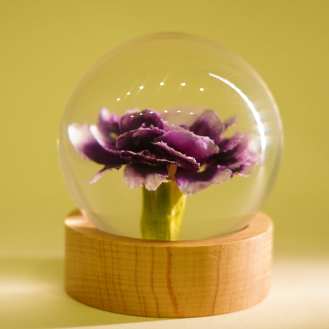 Carnation Orb