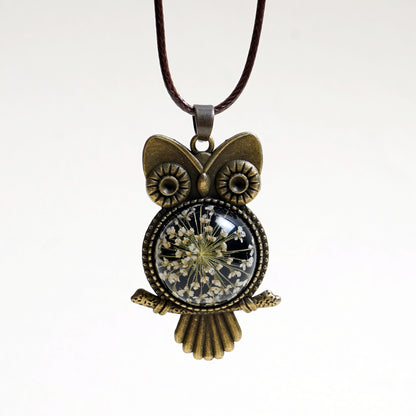The Enchanted Owl 🦉