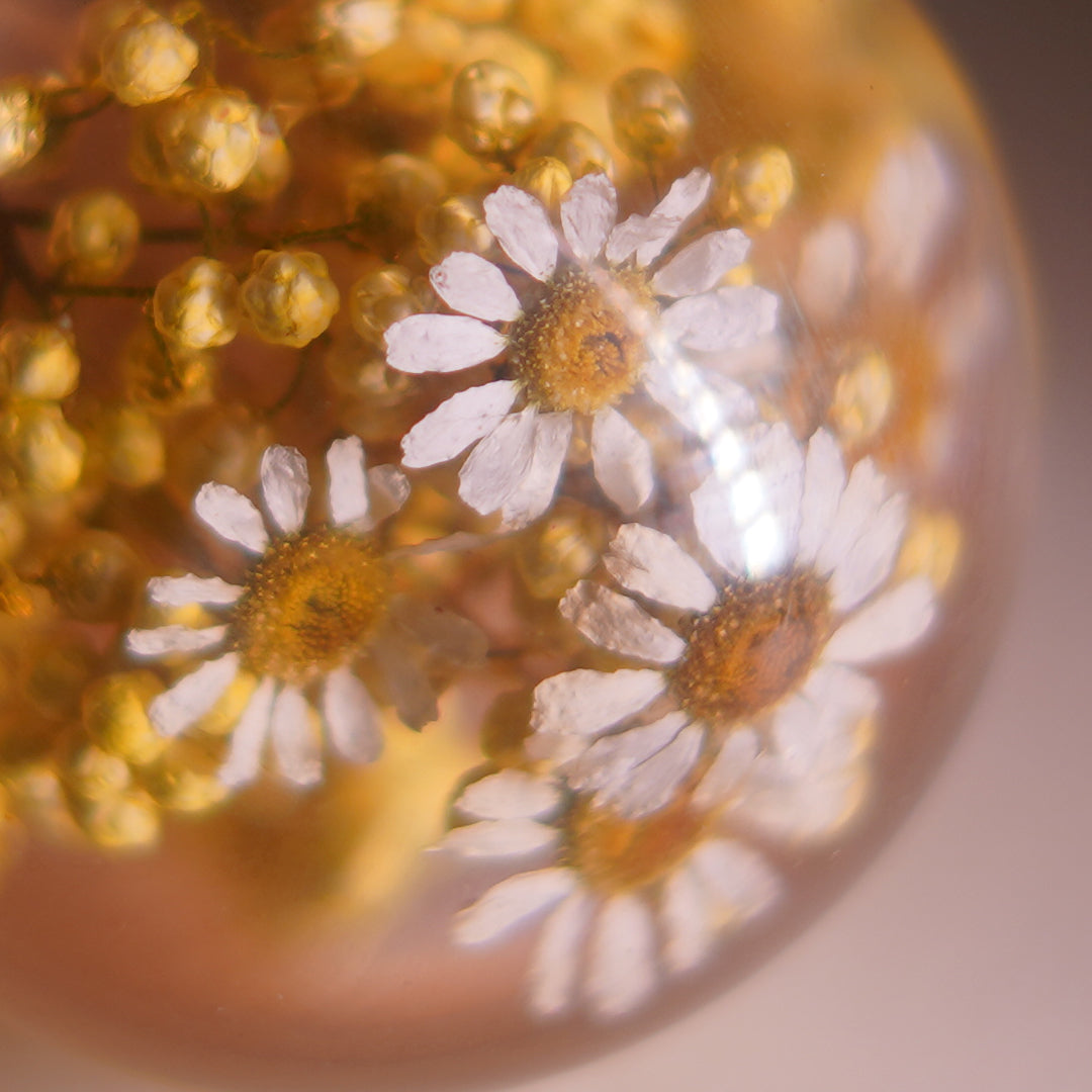 Bellis Bloom Orb 🌼