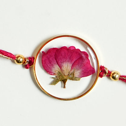 Tu-Tu Main-Main Rose Rakhi 🌹