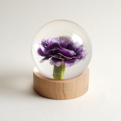 Carnation Orb