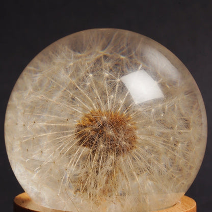 Make A Wish - Dandelion Orb