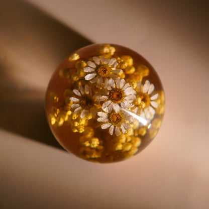 Bellis Bloom Orb 🌼