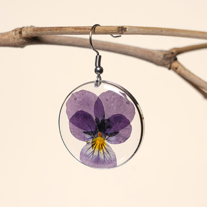 Spell of purple ; Pansy Love
